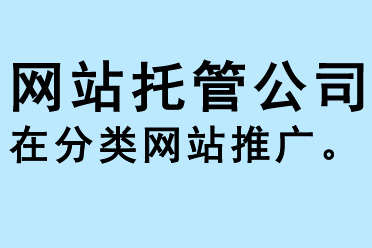 網(wǎng)站托管公司在分類網(wǎng)站推廣